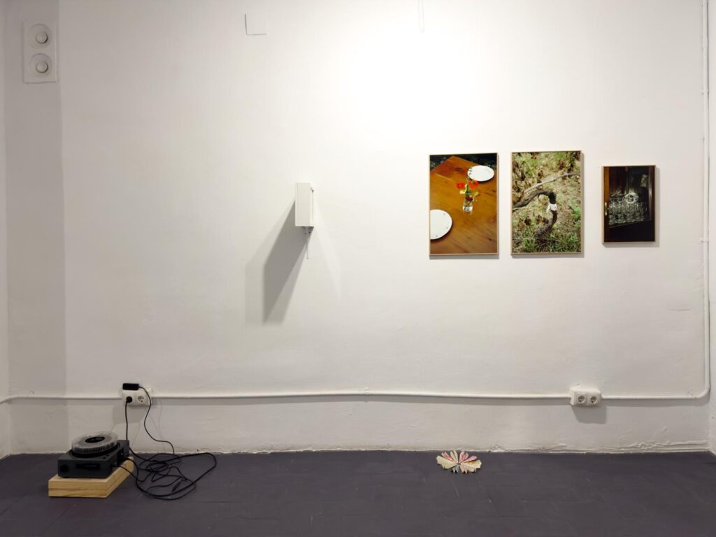 PHOTO-2026-01-16-08-30-34