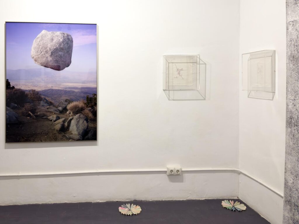 PHOTO-2026-01-16-08-30-35 2