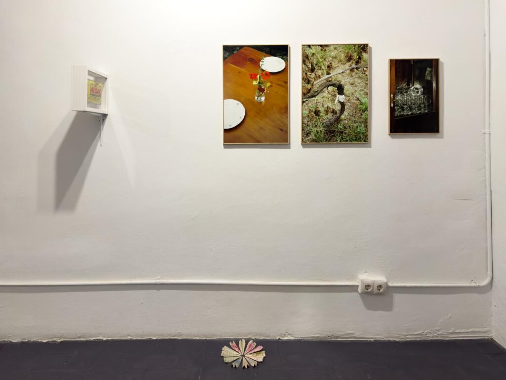 PHOTO-2026-01-16-08-30-35 5