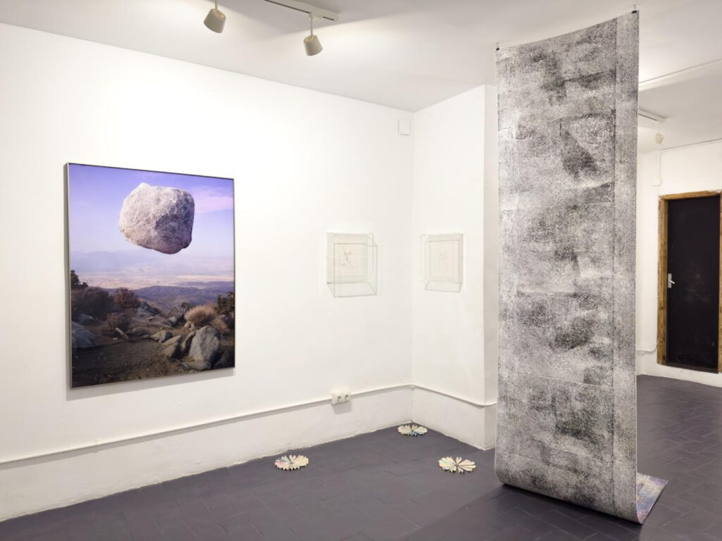 PHOTO-2026-01-16-08-30-35 6