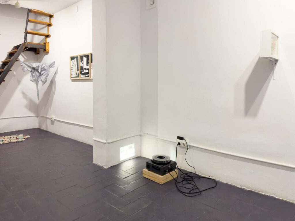 PHOTO-2026-01-16-08-30-35 7